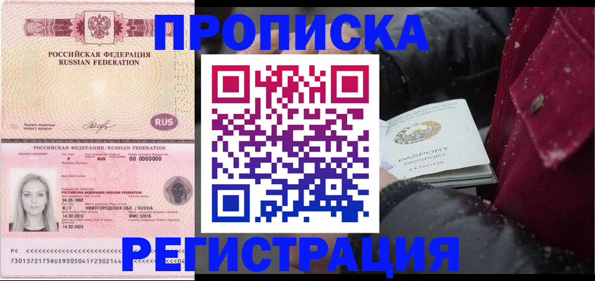 прописка для школы в Солнечногорске